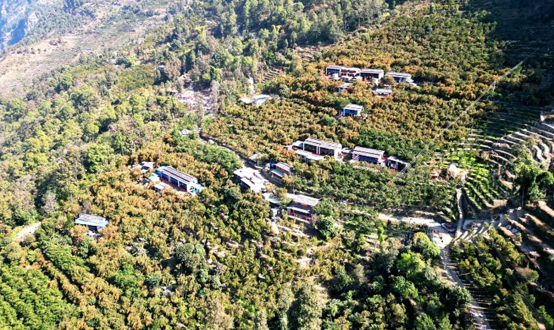 सुन्तलाखर्कः पाखैभरि पहेँलपुर सुन्तला, साढे १८ करोडको उत्पादन 